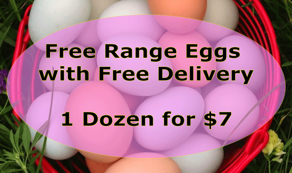 1 Dozen Eggs - $7 Delivered to your Door