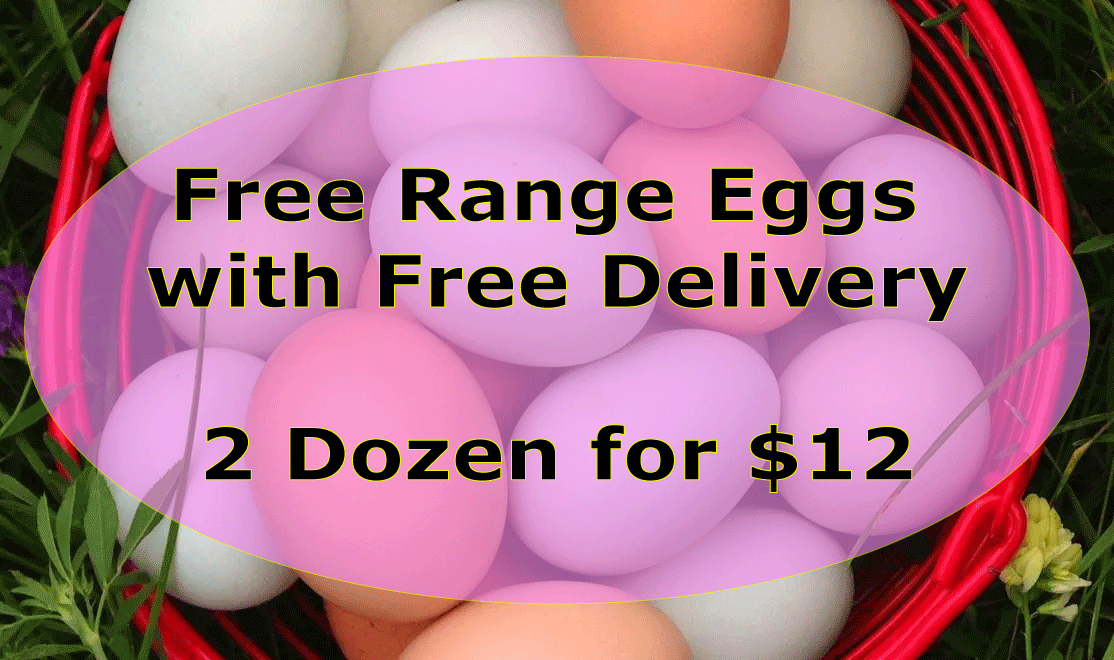 2 Dozen Eggs - $12 Delivered to your Door